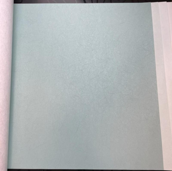 Обои Bernardo Bartalucci Legend 5068-13