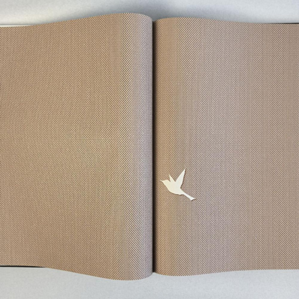 Andrea Rossi Spectrum Box 54457-13