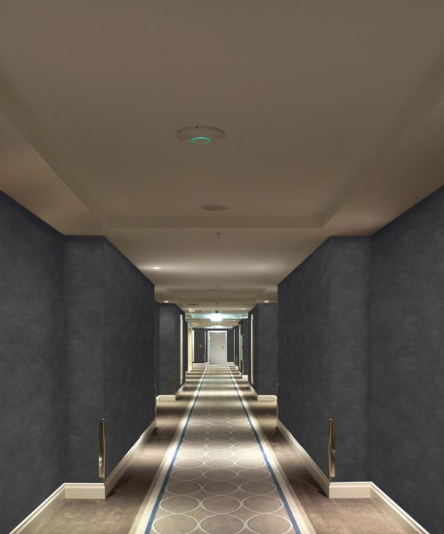 Marburg Solid Contract-Newton 33501 Marburg Solid Contract-Newton 33501