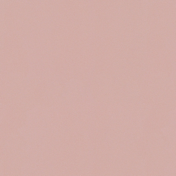 Erismann Elle 3 ER 12168-05