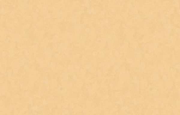 Loymina Shade SD3 002_5
