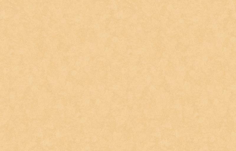 Loymina Shade SD3 002_5
