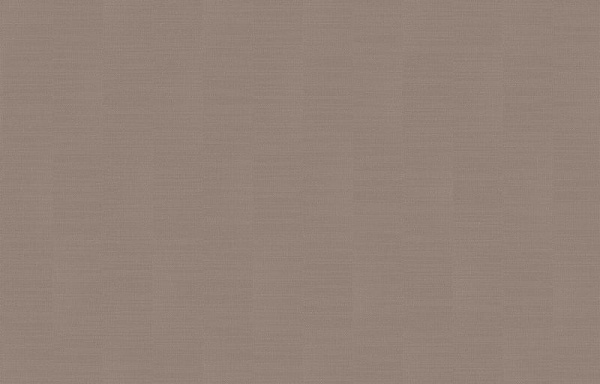 Loymina Shade SDR2 012