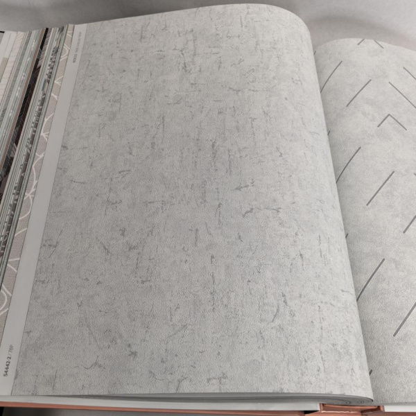 Andrea Rossi Berggi 54442-2